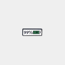 Jibbitz 99%